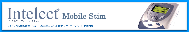 インテレクト モバイル・スティム